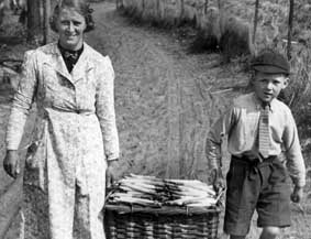 Asparagus farming was a family event