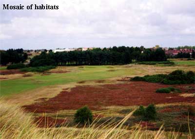 Mosaic of habitats Copyright Southport and Ainsdale Golf Club